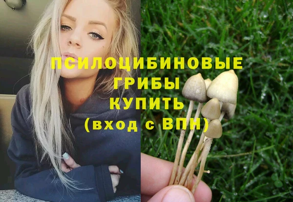 ешки Богородицк