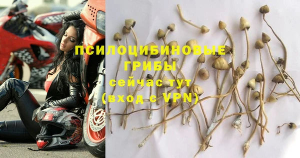 ешки Богородицк