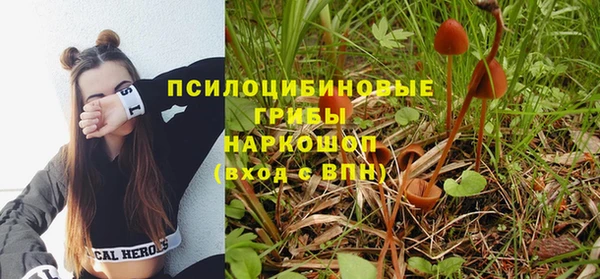 каннабис Богданович