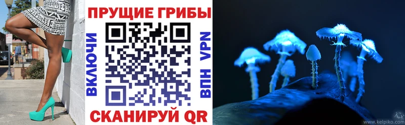 Псилоцибиновые грибы GOLDEN TEACHER  где продают   Кондопога 